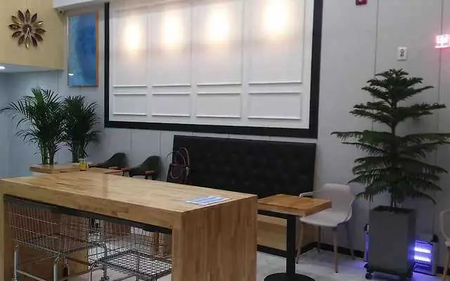 크린업24 강남역삼점